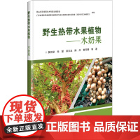 野生热带水果植物木奶果 木奶果的生物学特性 木奶果的应用价值 木奶果的植物群落特征 亚热带森林不同演替阶段的群落特征变