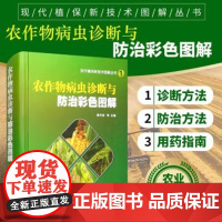 农作物病虫害诊断与防治彩色图解 鲁传涛编 作物病虫害诊断与防治彩色图谱 植保病虫害防治图鉴 水稻小麦高粱玉米等病虫害防治