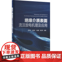 绝缘介质表面流注放电机理及应用 孟晓波 等 编 建筑/水利(新)专业科技 正版图书籍 中国电力出版社