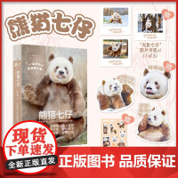 熊猫七仔 阮珍奇 著 文学艺术 新华书店店正版图书书籍书 四川人民出版社