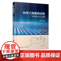 化学工程案例分析 广西典型化工过程 秦祖赠 化工类本科研究生工程技术人员学习书 淀粉加工制糖锰矿加工肉桂油生产化工过程参