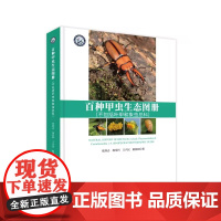 百种甲虫生态图册(不包括叶甲和象虫总科)