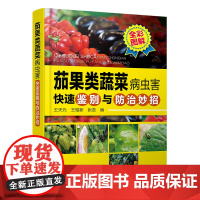 茄果类蔬菜病虫害快速鉴别与防治妙招(全彩图解) 9787122457301 王天元 王昭新 张蕊 编 化学工业