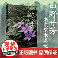 山野寻芳·浙东草木游记 小山、窗前 宁波出版社