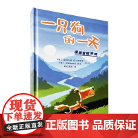 一只狗的一天 漫画游戏书 宁波出版社