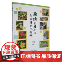 潍坊园林树木与园林树木物候9787560785134 吴祥春山东大学出版社农业、林业 书籍