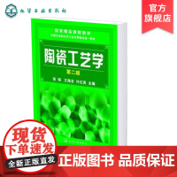 正版 陶瓷工艺学 第2版 张锐 陶瓷材料主要原料 陶瓷粉体加工处理 黏土工艺性质 陶瓷坯体成型 陶瓷材料制备工艺原理技术
