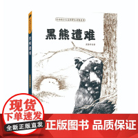 打动孩子心灵的野生动物故事——黑熊遭难浬鎏洋儿童文学中国少年儿童出版社凤凰店