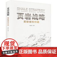 [新华]页岩战略 邓正红 正版书籍 店 石油工业出版社