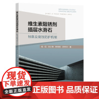 维生素阻锈剂插层水滑石制备及腐蚀防护机制杨恒刘小艳熊传胜李伟华著东南大学出版社