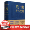 刑法条文释例 余双彪 根据刑法修正案十二编写 注释刑法实用工具书 案例指引实务疑难 中国检察出版社 9787510230
