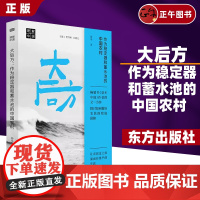 书正版]大后方 作为稳定器和蓄水池的中国农村 杨华 书《县乡中国》作者的又一力作 深入探讨农民命运 东方出版社