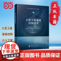大型卫星星座控制技术