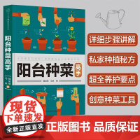 阳台种菜高手 魏旭敏等 著 家居