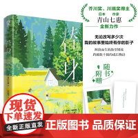 替身 青山七惠 芥川奖得主 一个人的好天气 作者新作山茶文具店绝叫暖心治愈温情外国文学