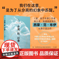 分离的幻象 西蒙·范·布伊 著 小说