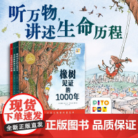 橡树见证的1000年全3册精装点读版大奖科普绘本凯特格林威提名作家作品经典3岁+适读金刚鹦鹉的回家路非洲象的漫长迁徙