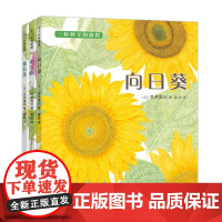 一粒种子的旅程全3册 定制版 向日葵 牵牛花 蒲公英 金苹果奖 植物 观察 入选亲近母语小学生分级阅读书目 正版童书