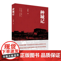 种城记 李桂平著 讲述标志时代变迁的中国拆迁故事