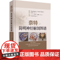 奈特简明神经解剖图谱 王元 赵天智 刘柏麟 刘扬 主译 神经外科 神经系统解剖学解刨进阶课 上海科学技术出版社97875