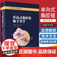 单向式胸腔镜肺手术学 名誉主编赫捷王天佑主编刘伦旭 单向式胸腔镜肺叶切除术 9787117278188 人民卫生出版社