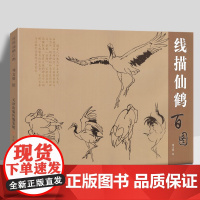 线描仙鹤百图白描底稿飞禽艺术绘画技法入门教程教材插画国画基础线描 天津人民美术出版社