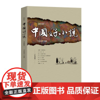 2021中国好小说中篇卷中国当代优秀文学作家短篇小说文集姚鄂梅背风处林筱聆不然冯骥才多瑙河峡谷艾伟过往等精选集中国书籍社