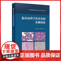 临床病理学典型案例诊断图谱 临床病理住院医师规范化培训实践系列教材 应建明 石素胜 杨琳 主编 人民卫生出版社 9787