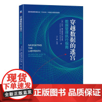 机工 穿越数据的迷宫:数据管理执行指南 Laura Sebastian-Coleman 汪广盛 等