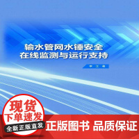 输水管网水锤在线监测与运行支持 李江 工业技术书籍正版