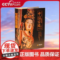 书央视网]有生之年一定要看的1001个中国古迹 书架上的古迹博物馆 20年心血之作 一次性看懂古建 古墓 石窟 古遗址