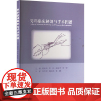男科临床解剖与手术图谱 侯俊清 等 编 外科学生活 正版图书籍 金盾出版社