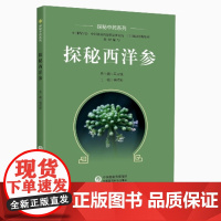 探秘西洋参探秘中药西洋参研究应用西洋参百科知识中医药养生健康药食同源加工西洋参用法用量养生西洋参质量保障合理使用防病治病