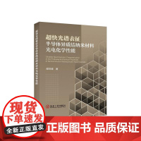 超快光谱表征半导体异质结纳米材料光电化学性能/邵珠峰