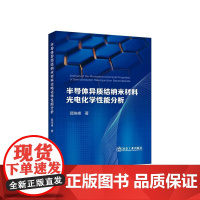 半导体异质结纳米材料光电化学性能分析 / 邵珠峰著