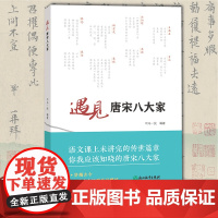 遇见唐宋八大家 司马一民著 唐宋八大家诗篇散文字画故事赏析 中华传统文化普及读物 中小学生课外读物 唐宋古典文学研究鉴赏