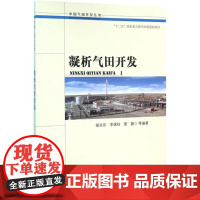 凝析气田开发 胡永乐 等 编 冶金工业专业科技 正版图书籍 石油工业出版社