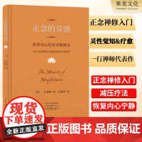 正念的奇迹:获得身心的安详和悦乐 一行禅师 伊能静 全球影响力的佛学大师 禅修 冥想 减压 灵性觉知 果麦