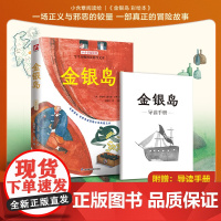 金银岛 彩绘本