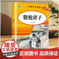 骆驼祥子 导读版 老舍 著 知识出版社 中国文学名著读物 世界名著