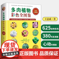 多肉植物彩色全图鉴 种花养殖教程花艺书籍养花书大全园艺盆景图盆景制作教材入门零基础花卉品种技术方法新手养多肉书籍