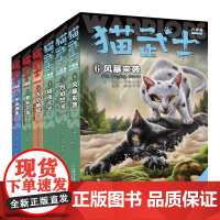 猫武士六部曲暗影幻象全6册风暴来袭正版动物小说陪伴孩子成长励志故事书籍8-12岁儿童冒险奇幻故事小学生三四五六年级课