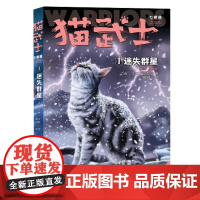 猫武士七部曲破灭守则1迷失群星正版陪伴孩子成长励志故事书籍8-12岁儿童冒险奇幻动物小说故事书小学生三四五六年级中国