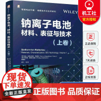 钠离子电池 材料 表征与技术 上卷 智能电动车辆 储能技术与应用系列 锂资源不足 新能源行业 负极材料 石墨 硬碳