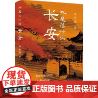 终是落叶满长安 重回大唐风华的七种归途 李会诗 著 中国古典小说、诗词 文学 陕西师范大学出版总社有限公司