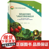 绿色蔬菜栽培与病虫害防治新技术 陈先荣,戴爱梅 编 大学教材大中专 正版图书籍 中国农业大学出版社