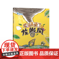 农场来了龙卷风 动物总动员 早教儿童启蒙绘本 儿童情商培养系列绘本 精装 亲子共读 少儿读物故事书 安徽少年儿童出版社