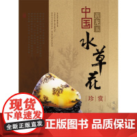书自营]正版新书 中国黄龙玉水草花珍赏 任端著 地质出版社9787116077263
