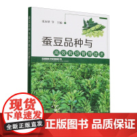 蚕豆品种与高效栽培管理技术 9787109329355 张泉锋 编 中国农业出版社