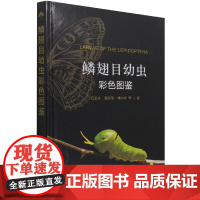 鳞翅目幼虫彩色图鉴 9787109281738 石宝才 宫亚军 魏书军等 鳞翅目 幼虫 彩色图鉴 毛毛虫 昆虫 图鉴
